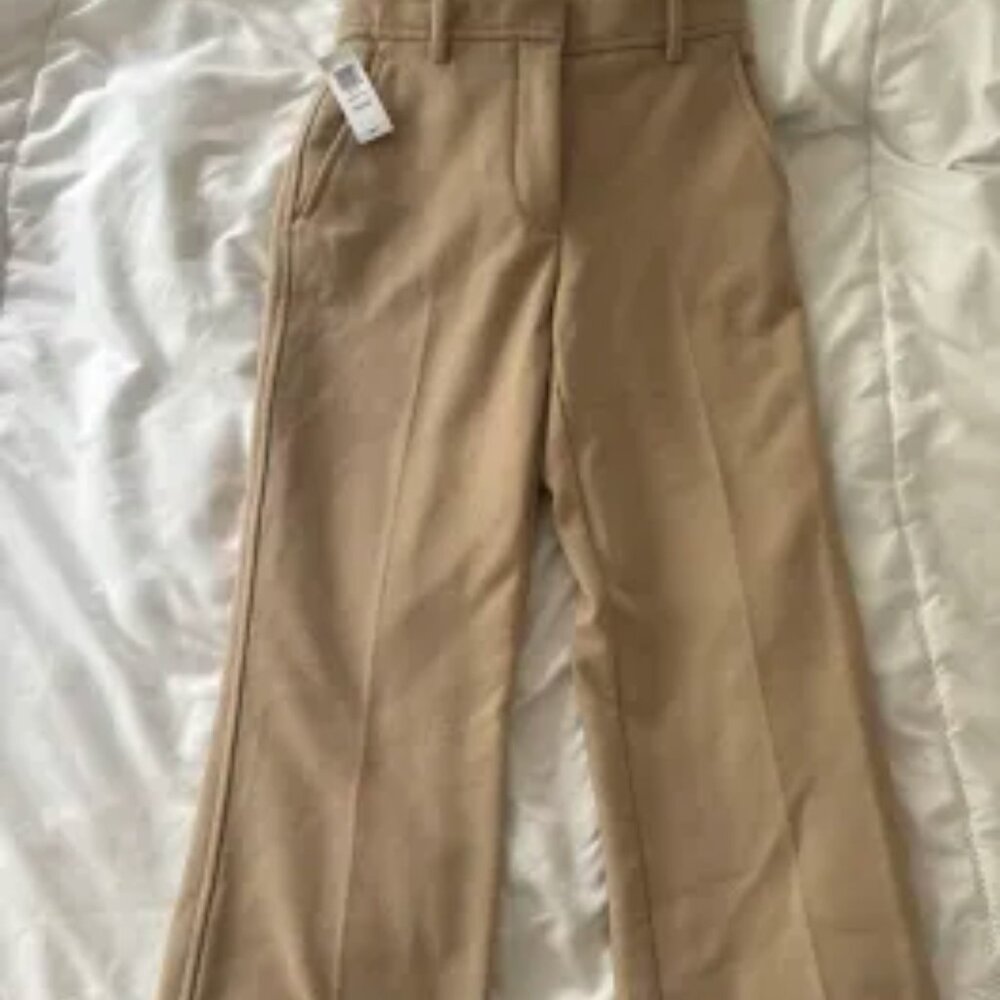 Brand New Aritzia Gazette Pants